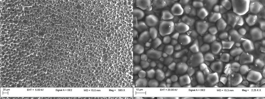 SEM images of chitosan nanoparticles 