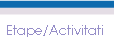 Etape/Activitati